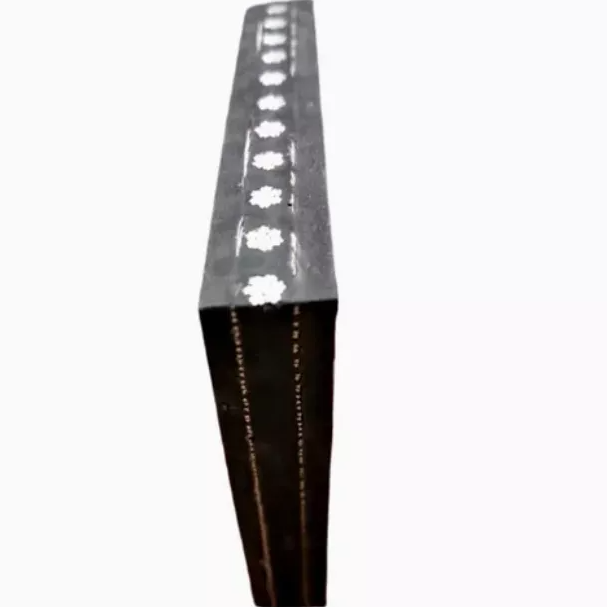 Steel cord reinforced Elevator Belt