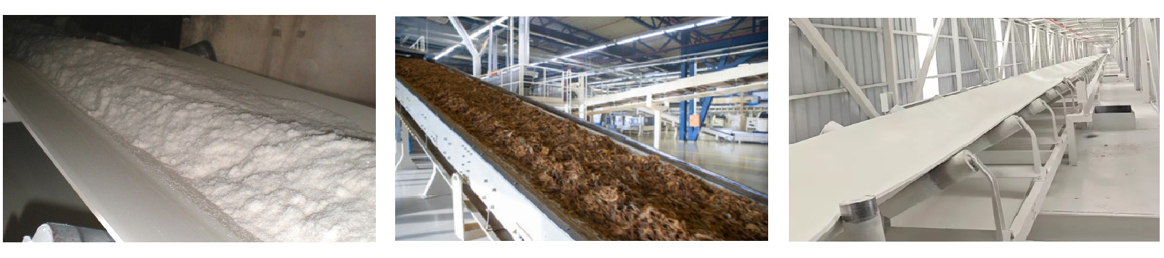 White conveyor belt application