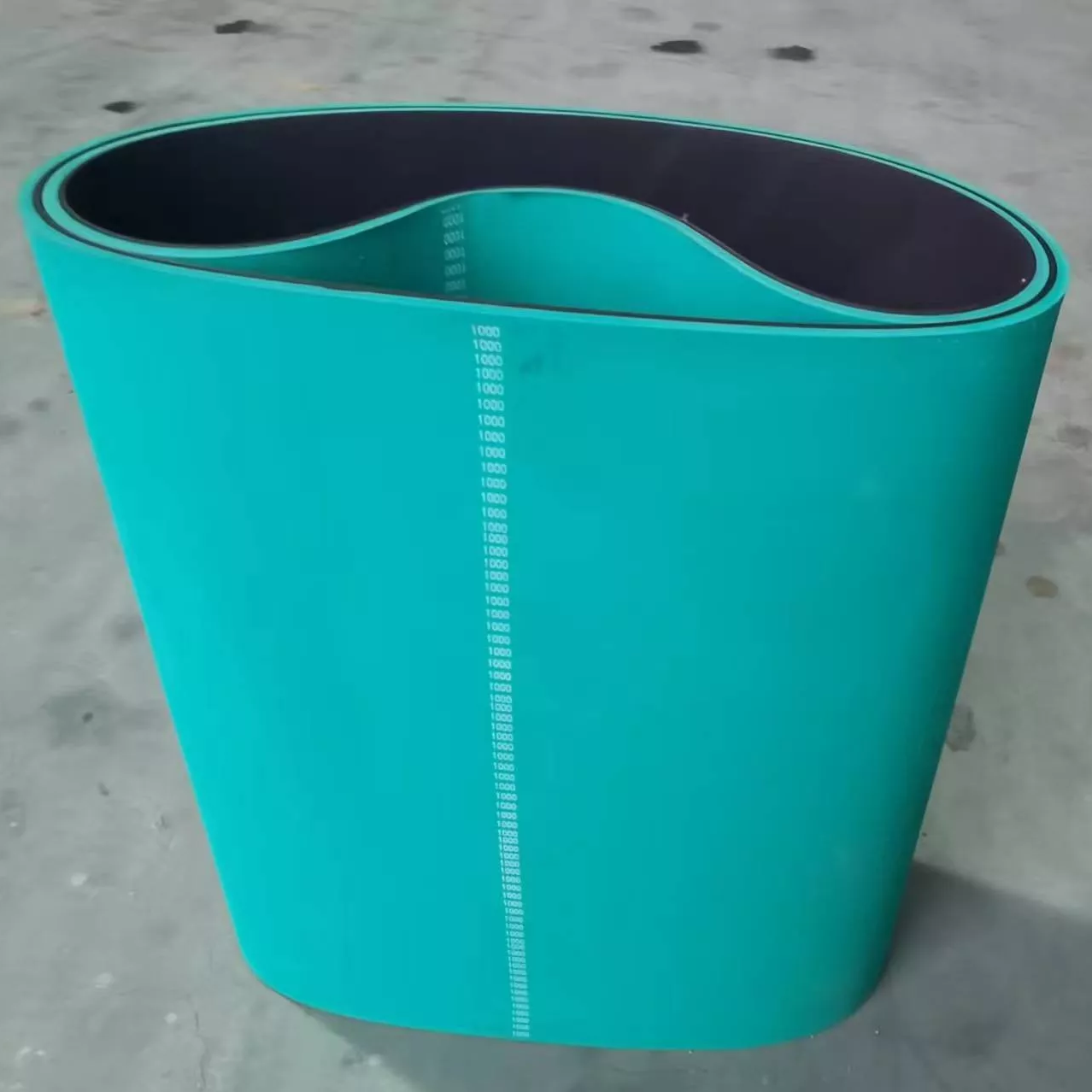 Feeder Belt 