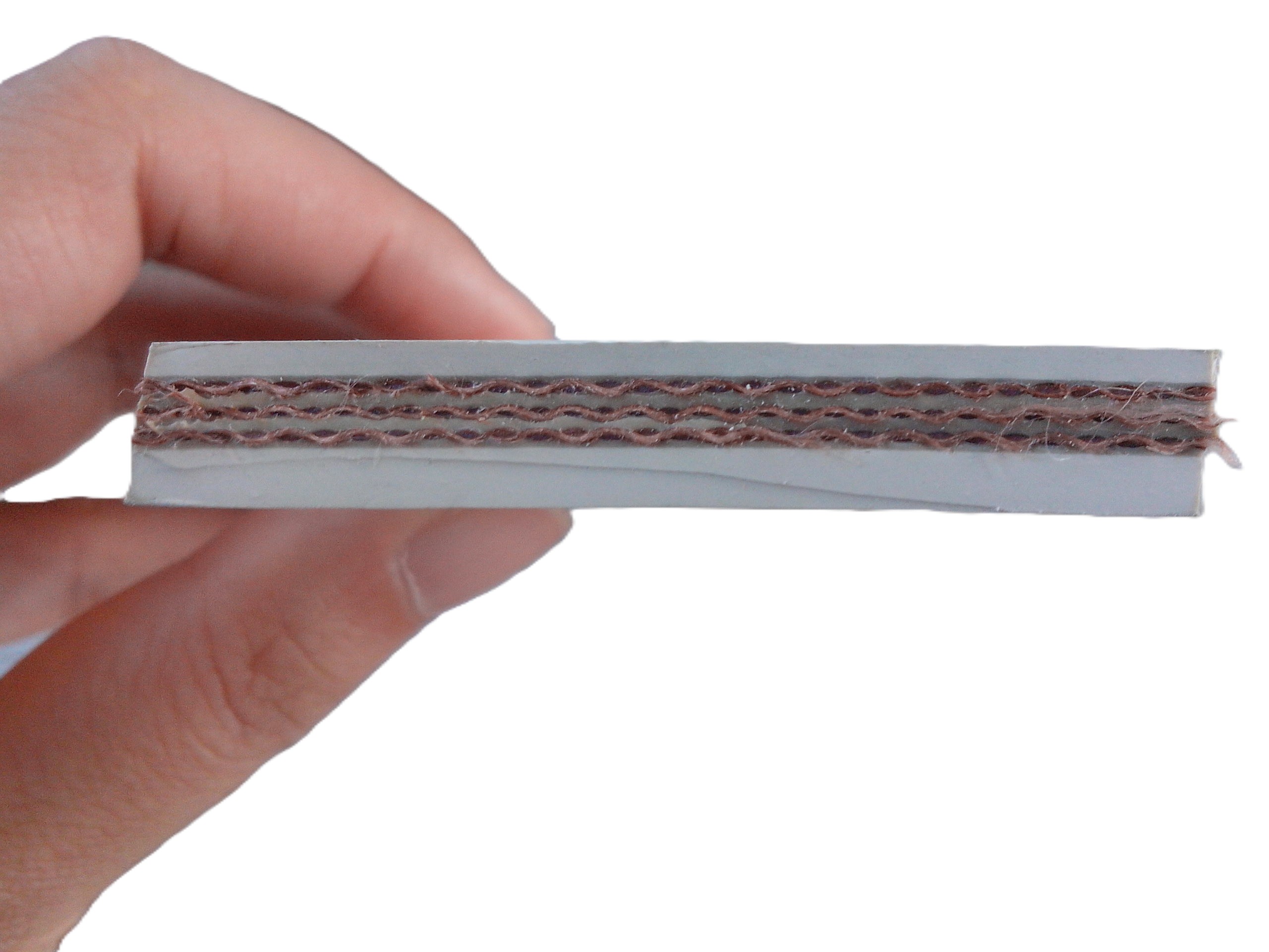 Food grade conveyor belt-2