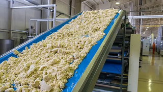Whats the difference between PVC conveyor_664_373.jpg
