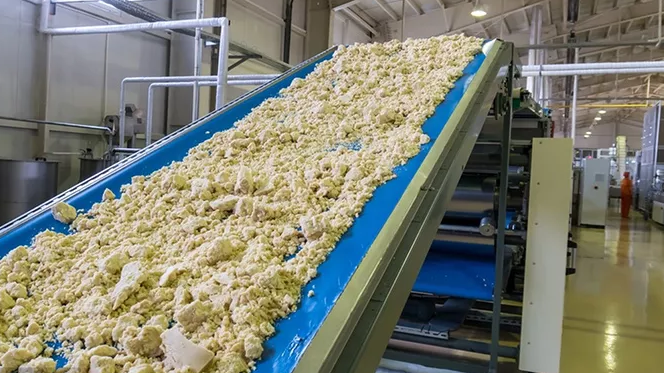 What's the difference between PVC conveyor belts and PU conveyor belts?